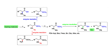 Biocatalysis